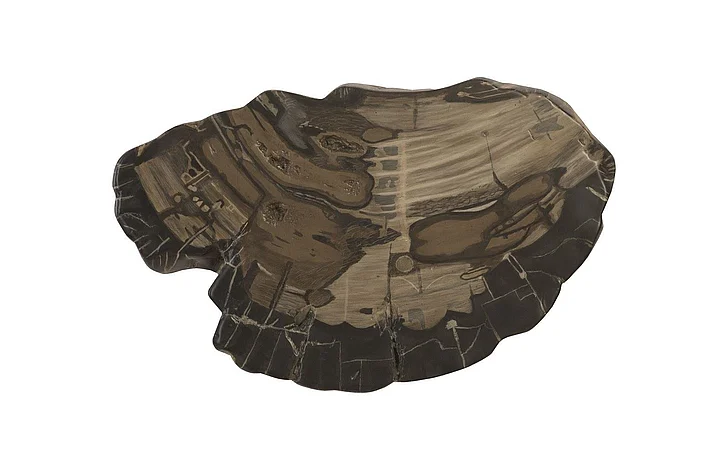 Phillips Collection Cast Petrified Wood Wall Tile PH94505
