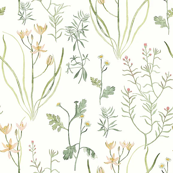 York F44-Watercolor Botanicals Alpine Botanical Peach Peel & Stick Wallpaper PSW1519RL