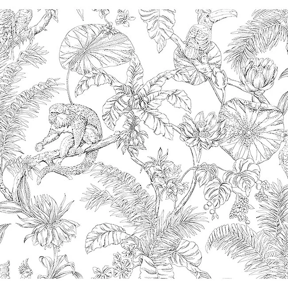 York F17-Toile Resource Library Tropical Sketch Toile Black Wallpaper RT7841 (Double Roll)