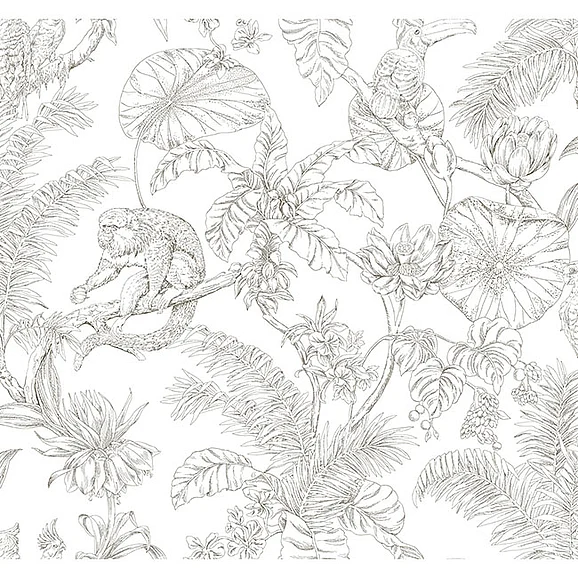 York F17-Toile Resource Library Tropical Sketch Toile Brown Wallpaper RT7843 (Double Roll)