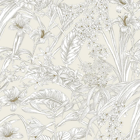 York F17-Toile Resource Library Orchid Conservatory Toile Beige & Taupe Wallpaper RT7883 (Double Roll)