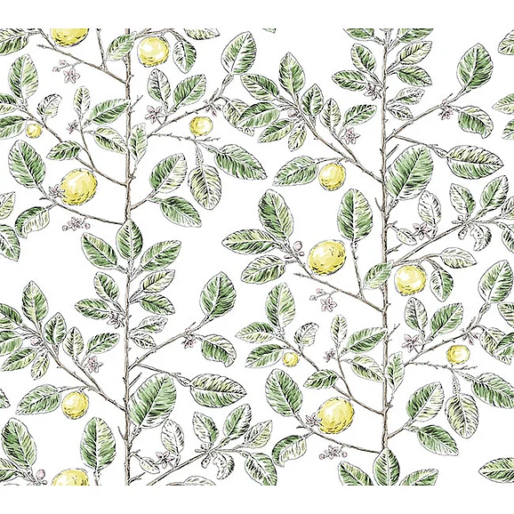 York F17-Toile Resource Library Limoncello Toile Green Wallpaper RT7911 (Double Roll)