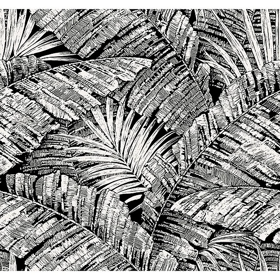 York F17-Toile Resource Library Palm Cove Toile White & Black Wallpaper RT7921 (Double Roll)