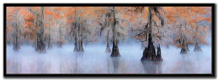 Streamline Art Caddo Lake E893220