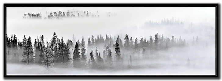 Streamline Art Foggy Forest E893237