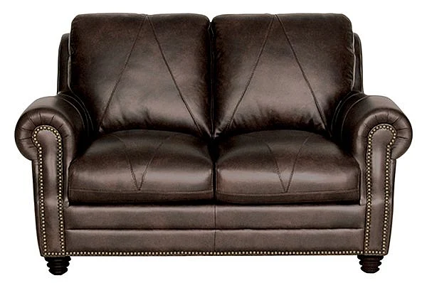 Luke Home Solomon Loveseat in 2520 Choca Solomon-L (Quickship)