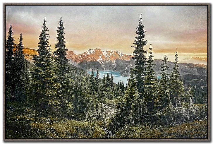 Streamline Art Alpine Silence E862912