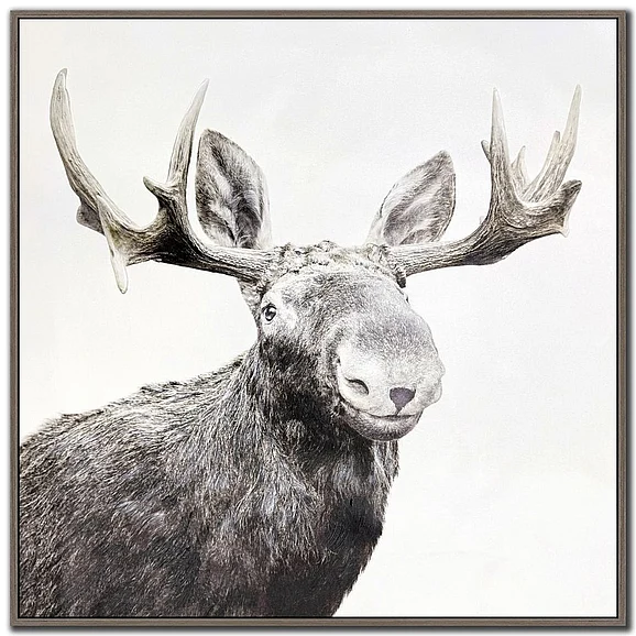 Streamline Art Antler Aura SUN25510