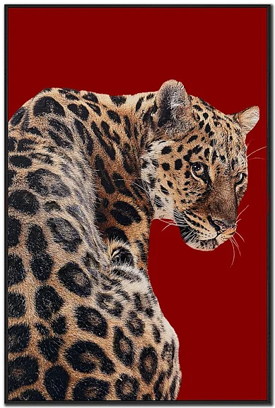 Streamline Art Wild Luxe I E892308
