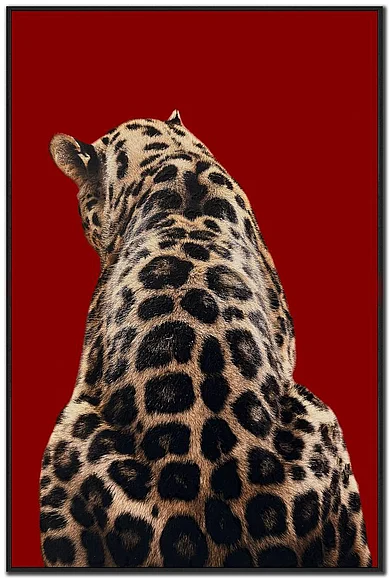Streamline Art Wild Luxe II E892315