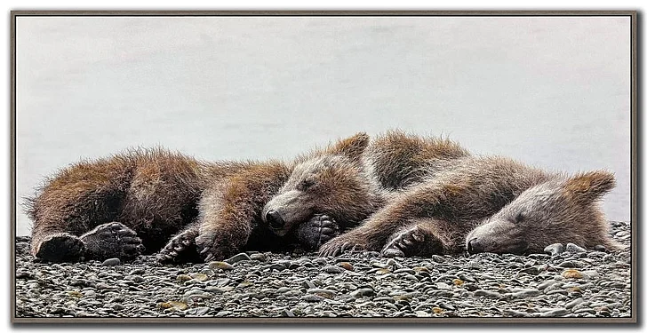 Streamline Art Cozy Slumber E892353