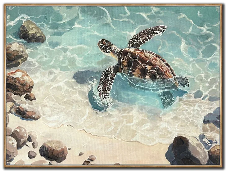 Streamline Art Reef Explorer I E892414