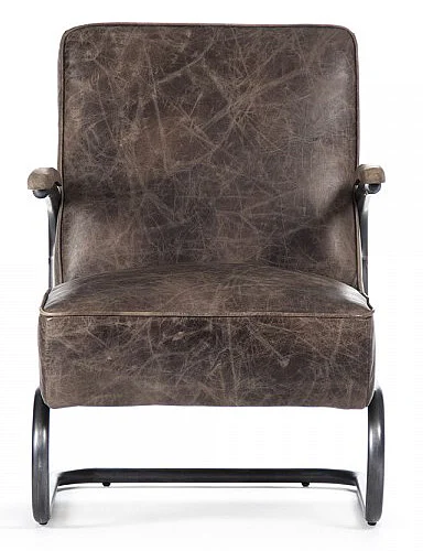 Zentique Ricky Arm Chair in Brown PF7138