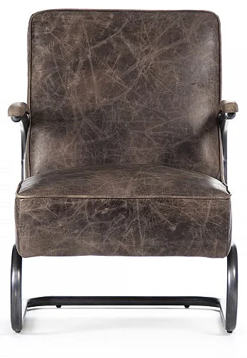 Zentique Ricky Arm Chair in Brown (Set of 2) PF7138