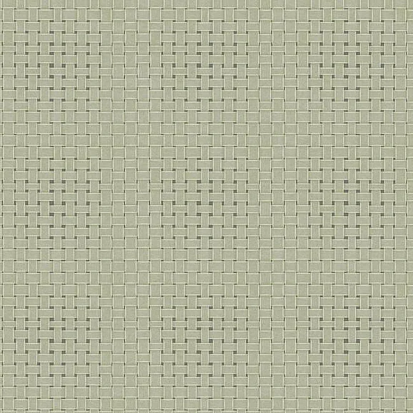 York Tropics Resource Library E23 Paradise Island Weave Wallpaper in Green TC2613 (Double Roll) FedEx/UPS