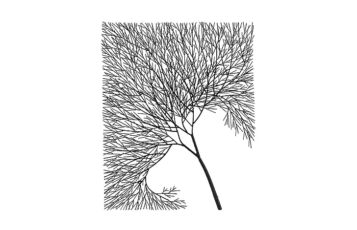 Phillips Collection Rectangular Wire Tree Wall Art in Black TH100388