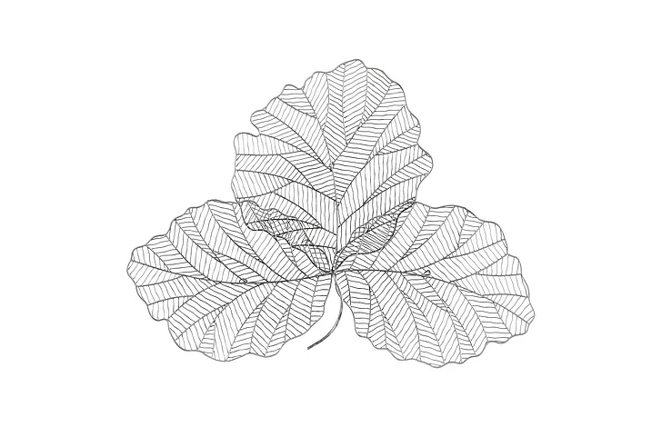 Phillips Collection Small Tri Leaf Wall Art in Antique Silver TH100855