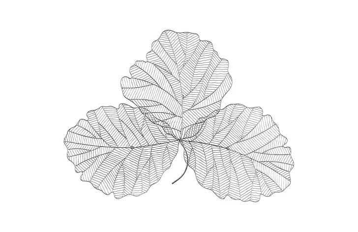 Phillips Collection Medium Tri Leaf Wall Art in Antique Silver TH100856