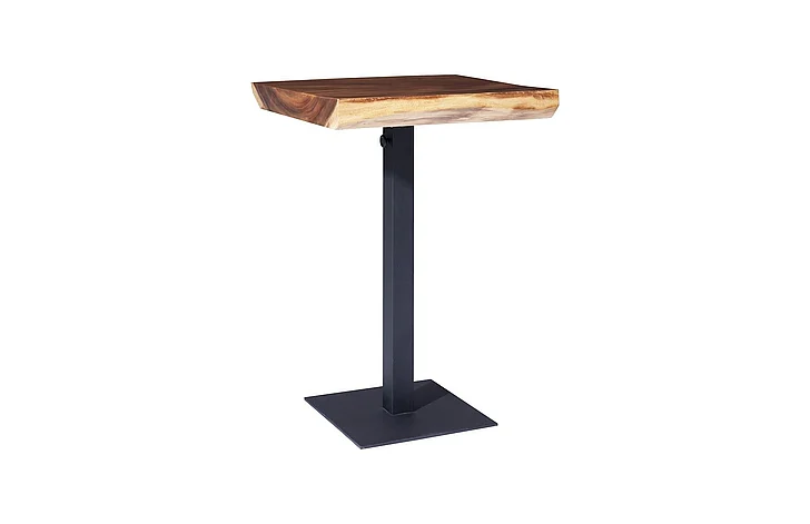 Phillips Collection Café Bar Table in Natural/Powder Coat TH101823