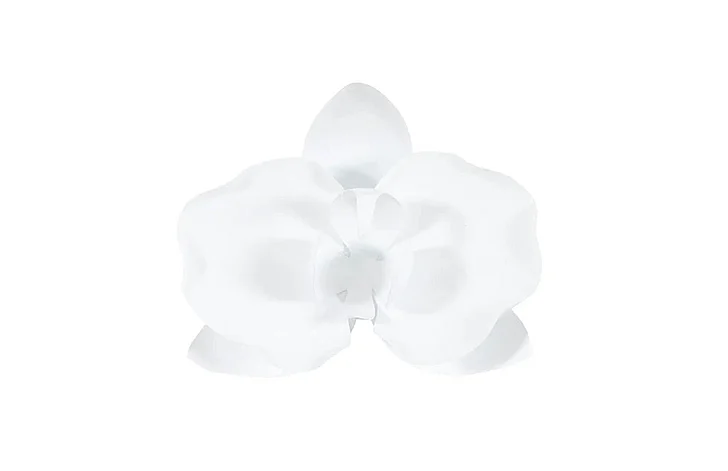 Phillips Collection Orchid Flower Wall Decor in White TH101829