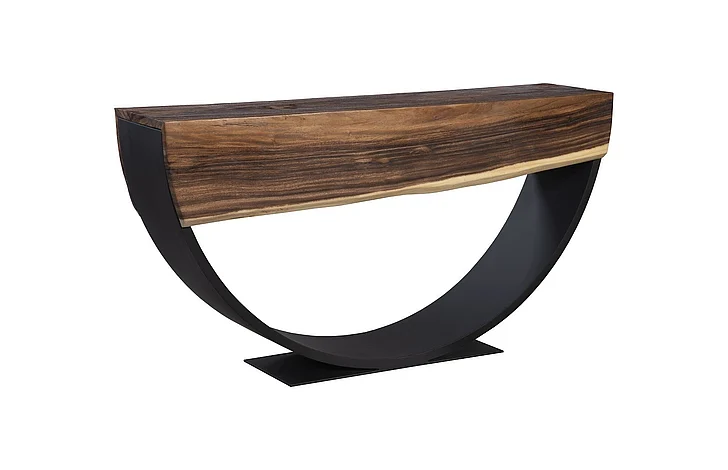 Phillips Collection Arc Console Table in Natural TH103724