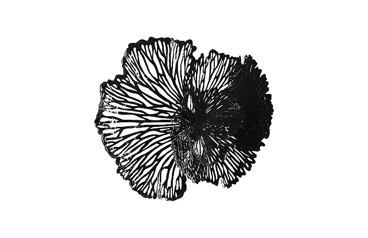 Phillips Collection Medium Flower Wall Art in Black TH108319