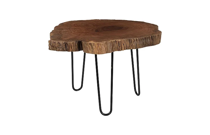 Phillips Collection Small Burled Coffee Table in Black Metal Legs TH109378