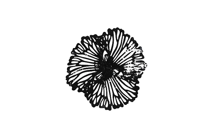 Phillips Collection Extra Small Flower Wall Art in Black TH109690
