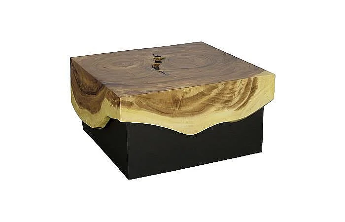 Phillips Collection Overflow Coffee Table in Natural and Black TH110323