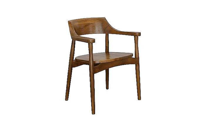 Phillips Collection Origins Arm Chair in Natural TH110598