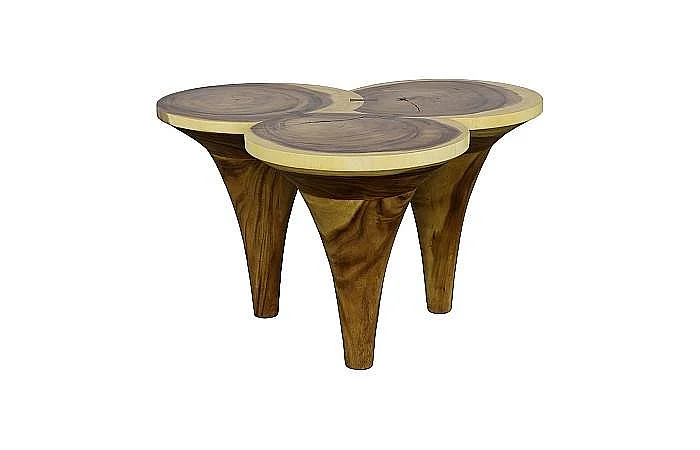 Phillips Collection Marley Coffee Table in Natural TH112228