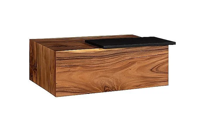 Phillips Collection Plateau Coffee Table With Shelf in Black and Brown TH115350