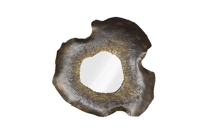 Phillips Collection Bloom Mirror, Metal, SM TH119772