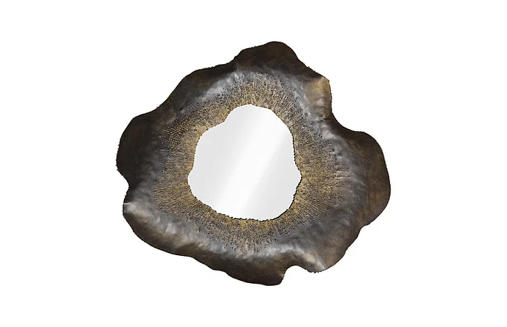 Phillips Collection Bloom Mirror, Metal, MD TH119773