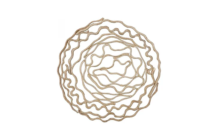 Phillips Collection Vine Wall Flower, Bleached, Large TH120059