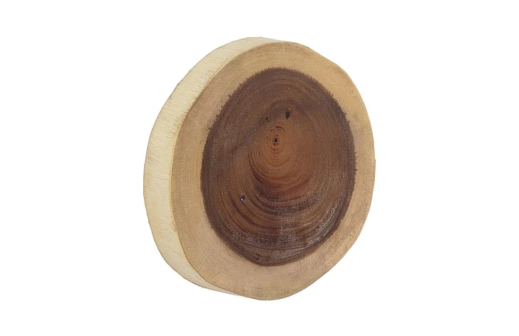 Phillips Collection Chuleta Small Wall Tile in Natural TH54502