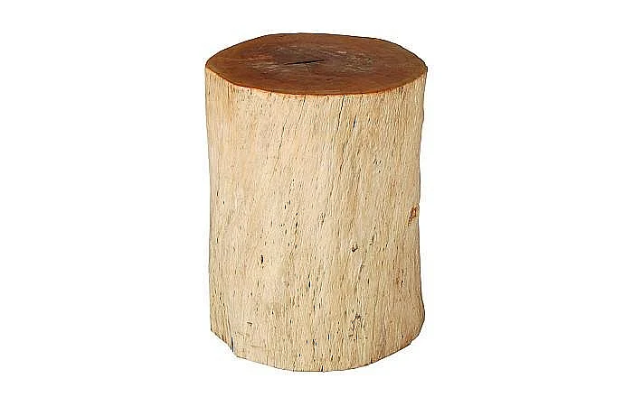 Phillips Collection Assorted Styles Round Wood Stool in Natural TH54941