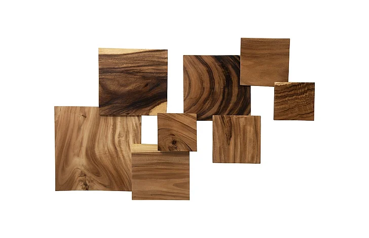 Phillips Collection Square Standout Wall Art in Natural TH60642 (Set of 8)