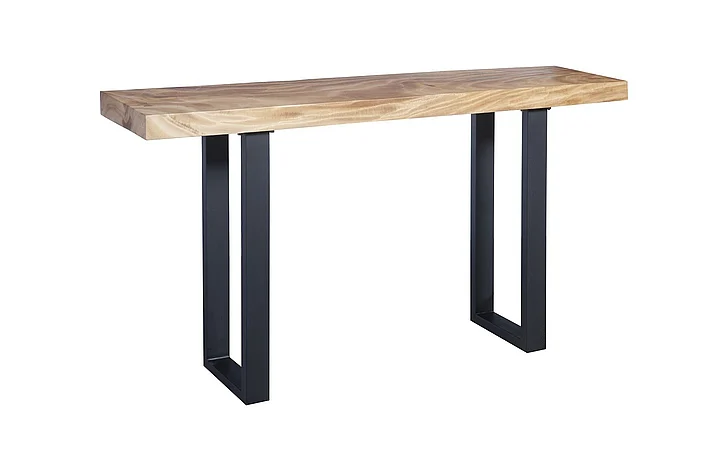 Phillips Collection Origins Straight Edge Console Table in Natural/Black TH93211