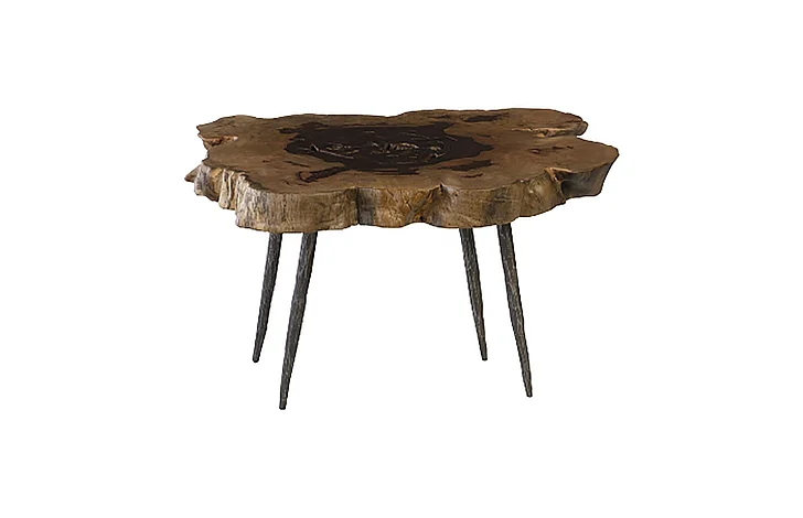 Phillips Wood Coffee Table in Brown TH93212