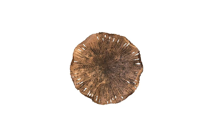 Phillips Collection Lotus Small Wall Art in Copper TH96156
