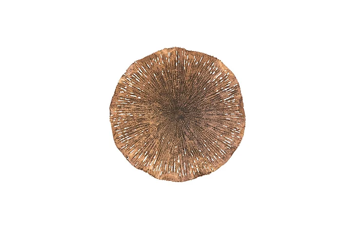 Phillips Collection Lotus Medium Wall Art in Copper TH96157