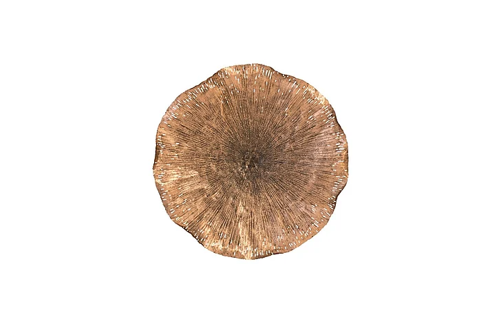 Phillips Collection Lotus Large Wall Art in Copper TH96158