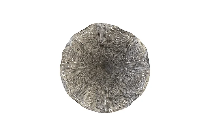Phillips Collection Lotus Large Wall Art in Antique Silver TH96161
