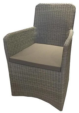 Artesia Seth Outdoor Dining Arm Chair in Beige (Set of 2) V3-SETH-161