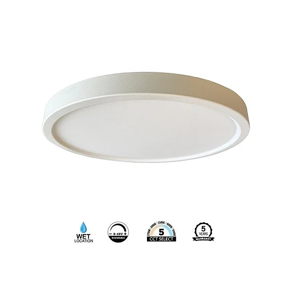 Vinci Lighting Flush Mount Ceiling Lighting in White VLSP12DCCTW-UNV
