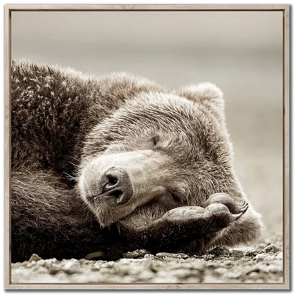 Streamline Art Sleeping Bear E817165