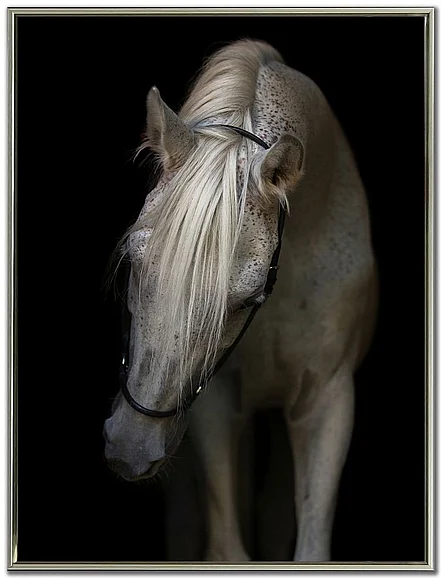 Streamline Art Mystical Horse E817196