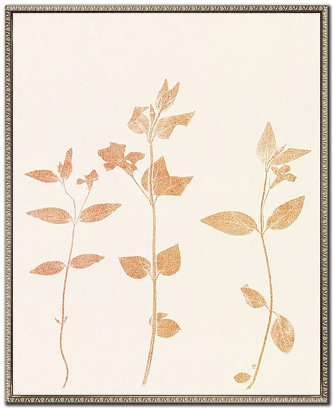 Streamline Art Floral Trace I E845939