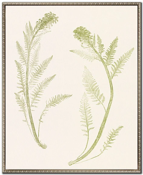 Streamline Art Floral Trace II E845946